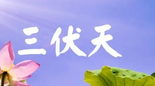 什么时候进二伏天,今年一伏二伏三伏是什么时候图3