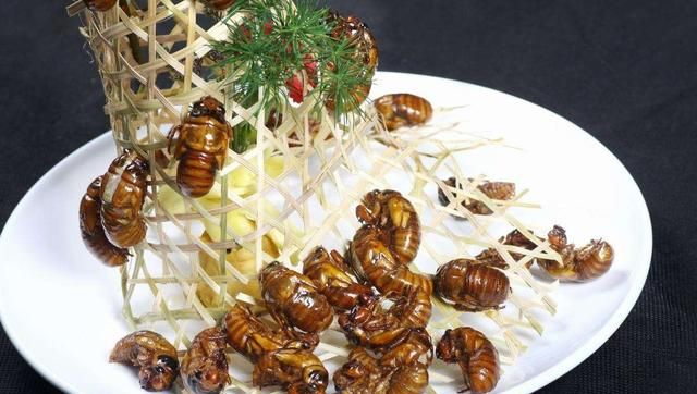 知了猴是什么味道，公知了猴什么味？图8