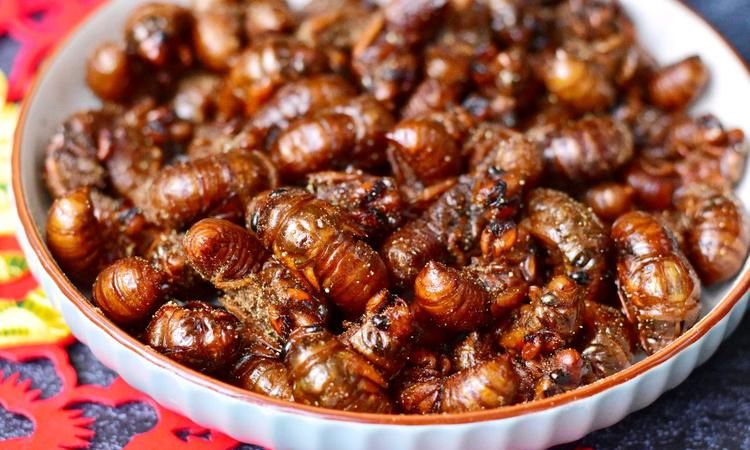 公知了猴什么味