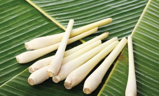 茭白为什么有黑点,茭白里面有黑点是不是坏了呀图4