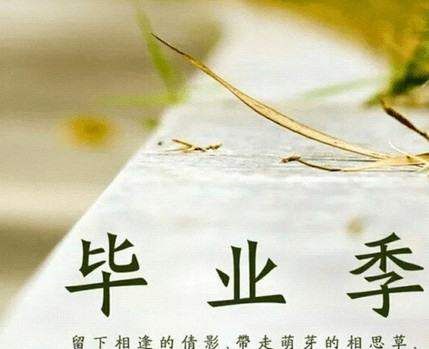 毕业赠言给同学,小学给同学的毕业赠言怎么写图2