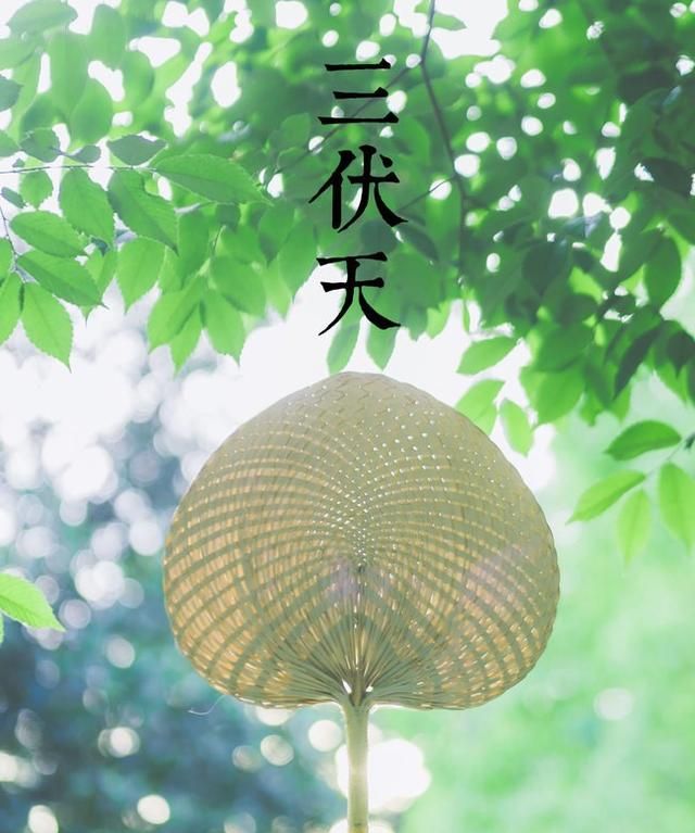 什么是三伏天,俗话说三伏天?图3