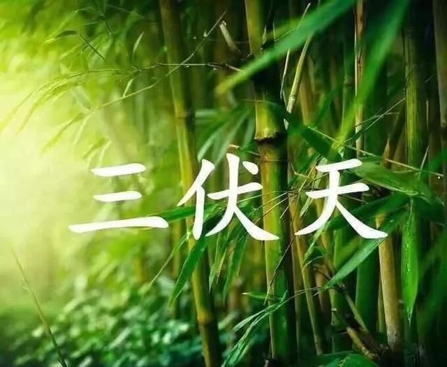 什么是三伏天,俗话说三伏天?图5