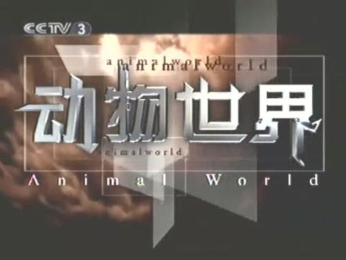 央视动物世界几点到几点