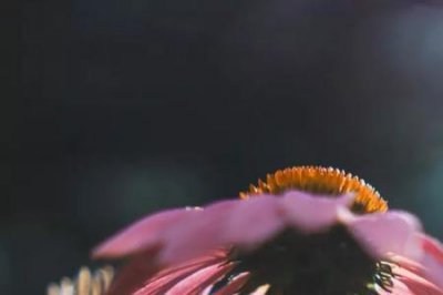 ​形容人生起伏不定的成语