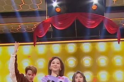 ​杨紫你好星期六是哪一期