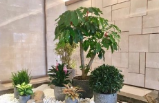 抽屉里甲醛超标要紧,甲醛超标可以先搬东西吗图2