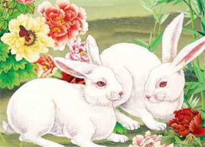 ​属兔的和什么属相最配,相克相冲(属兔的和什么属相最配最旺财运)