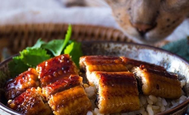 日料里的鳗鱼为何没刺，日料用的鳗鱼汁怎么制作的？图6