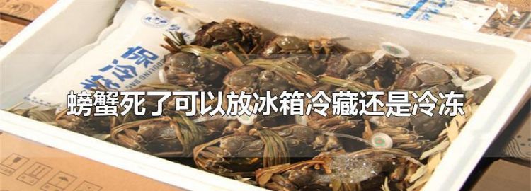 活的螃蟹放在冰箱冷藏里会死吗