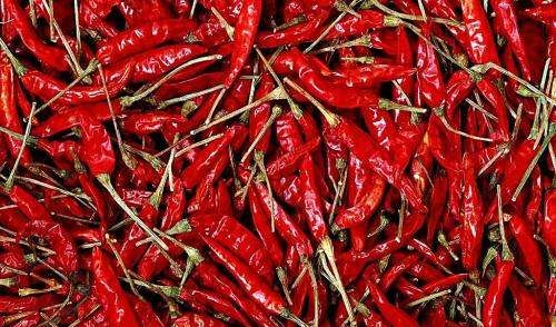 辣椒怎么晒干不变色,红辣椒怎么晒干不变白图3