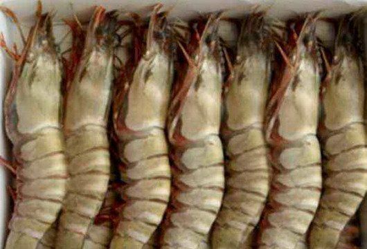 皮皮虾需不需要去黑线,现在是吃皮皮虾的时候吗图3