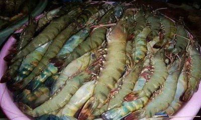 ​皮皮虾需不需要去黑线,现在是吃皮皮虾的时候吗