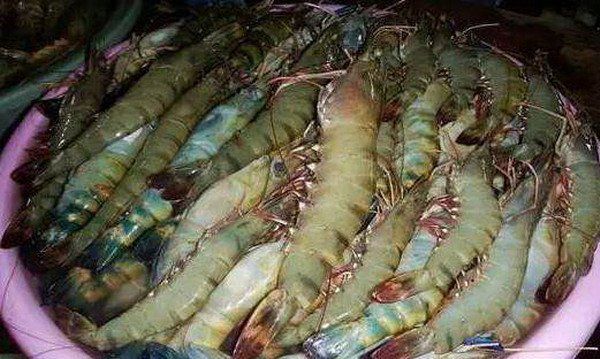 皮皮虾需不需要去黑线,现在是吃皮皮虾的时候吗图1