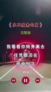 ​有种思念永不疲惫原唱