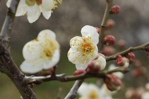 求用破天荒造句