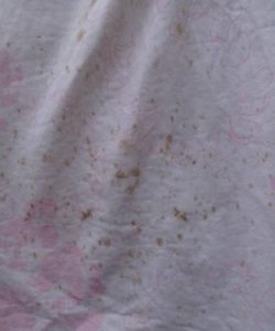 ​床单发霉了还能用,床单被子发霉怎么处理妙招