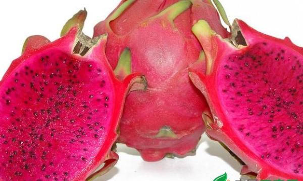 空腹吃火龙果会怎么样?