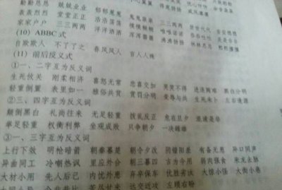 ​黄牛象征什么四字词语,喜鹊象征什么橄榄树象征什么荷花象征什么