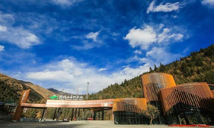 鹧鸪岭海拔多少米