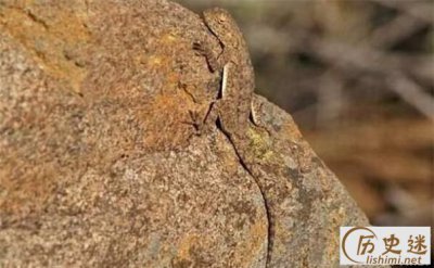 ​隐身术是什么样子的，真正的隐身术到底是怎么样的