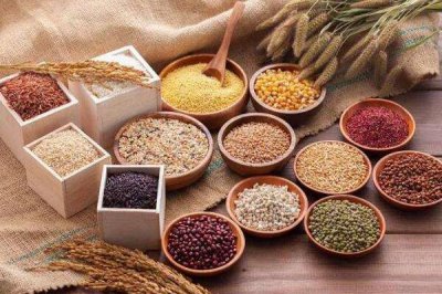 ​五谷杂粮是哪5种分别是什么，五谷稻麦黍菽稷的读音