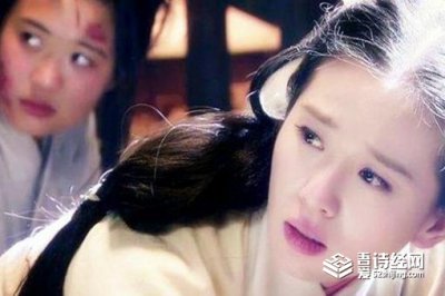 ​大宋公主肛裂而死是谁，赵福金肛裂而死真相