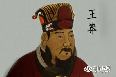 ​王莽怎么当上皇帝的，王莽在历史上算是一个好皇帝吗