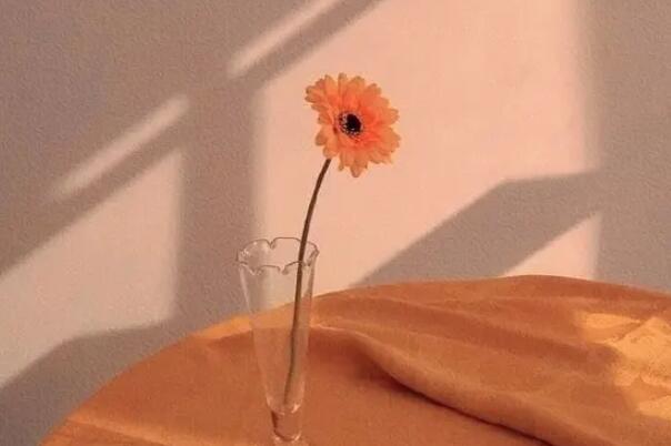 很小众却很惊艳的诗：冷门又惊艳的诗词(精选30句)