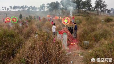 ​文王人和酒价格_文王人和酒50度多少钱一瓶