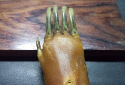 历上真的有摸金校尉和发丘中郎将吗