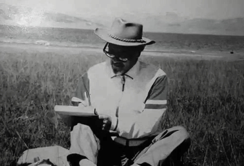 三毛与王洛宾最后一封信写了什么