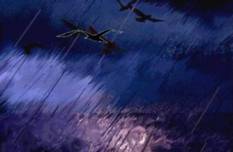 海燕象征着什么