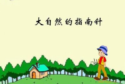 ​大自然的指南针有什么，天然的指南针有哪些