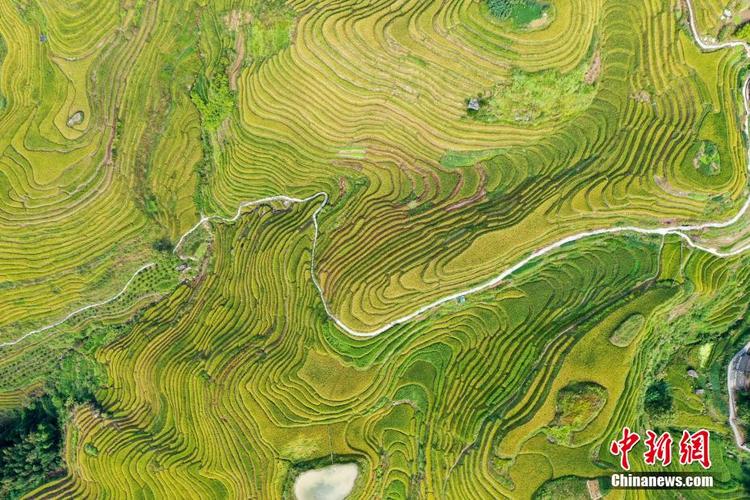 第六天：龙脊梯田