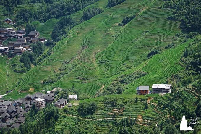 第八天：阳朔龙脊梯田（当然要在一个地方停留几个小时）。