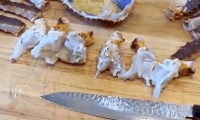 ​帝王蟹产地哪里国家(帝王蟹泛滥成灾，为何价格却始终居高不下？)