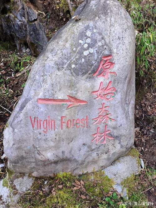 第五天：神农架原始森林景区+木河源（观神农顶、金丝猴自然保护区）