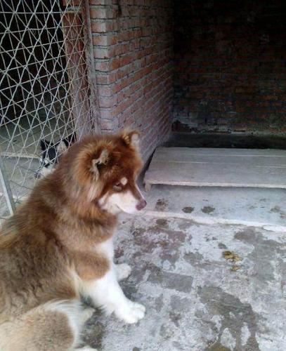 第五天：阿拉斯加