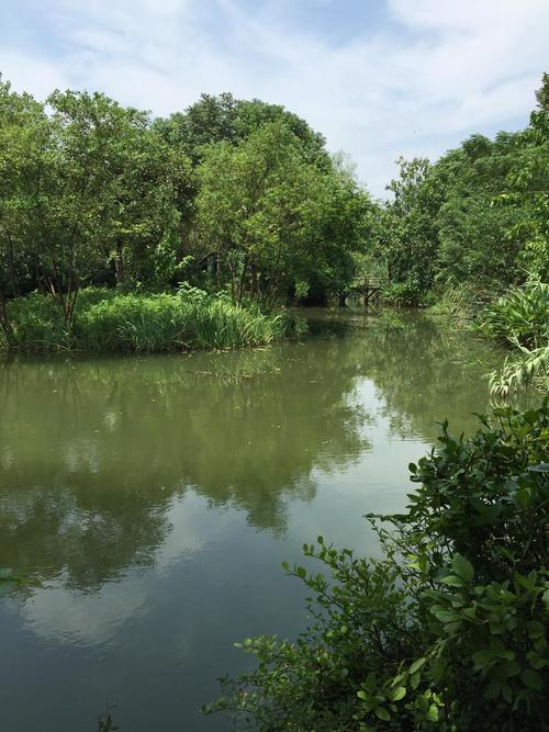 3、西溪湿地