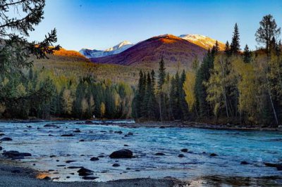 ​喀纳斯景区攻略