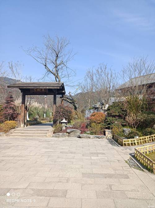 第二天：屯溪黄梅小镇+万松岭风景区—黄山（黟县）