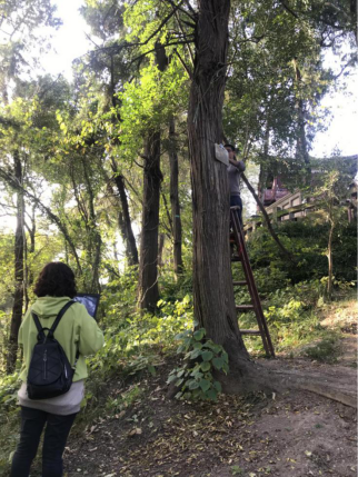 3.进入景区之后可以在景区里参观一些景点，这里有一些古树名木和很多的小动物们都在游玩。