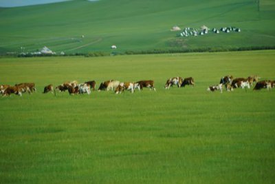 ​通辽2日游有最佳攻略