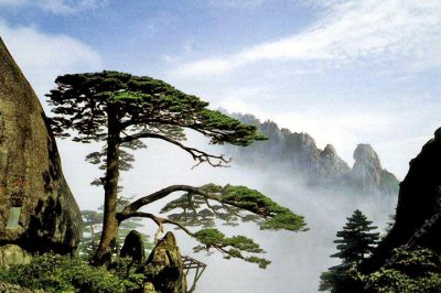 ​安徽一日游自助游攻略