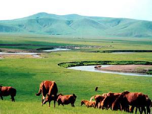 2.白家营子大草原