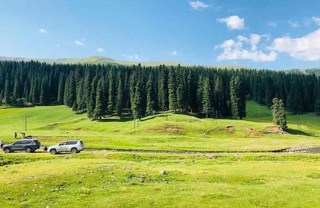 第六天：巩乃斯-霍城-昭苏-木斯河