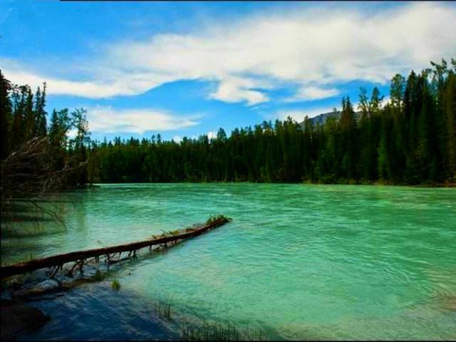 第七天：伊犁河谷-巩乃斯-霍尔果斯口岸-巩乃斯-禾木-伊犁-天山天池-伊犁大峡谷