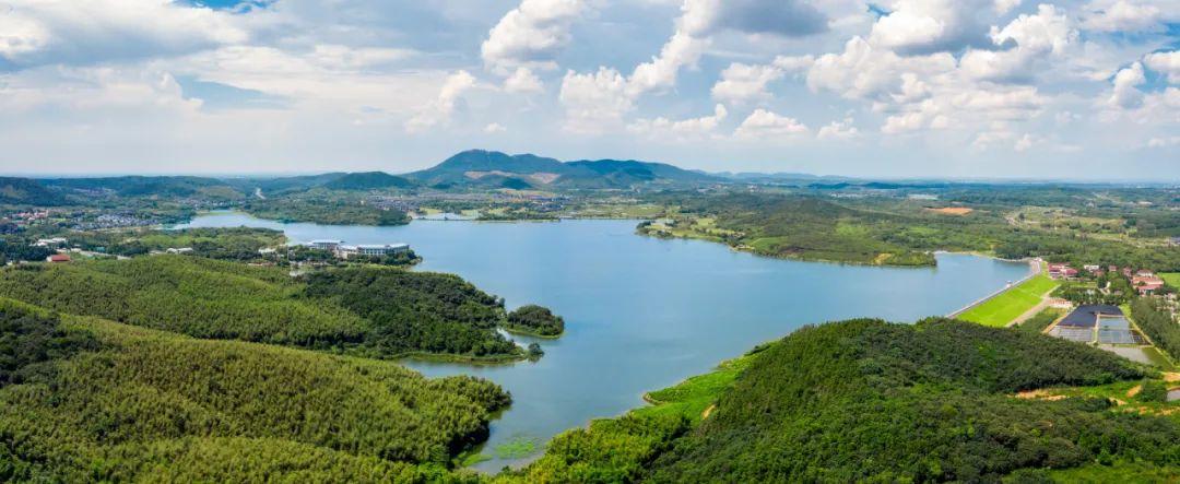 3、金坛武林西路旅游风景区