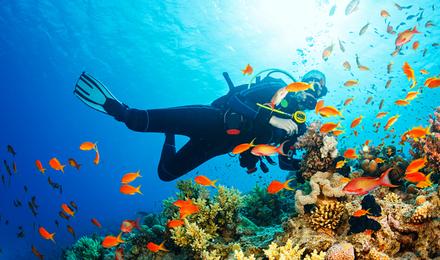 第四天：大东海海底世界